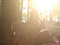 森林物语。女摄影师Emily Lee镜头下的鹿与女孩