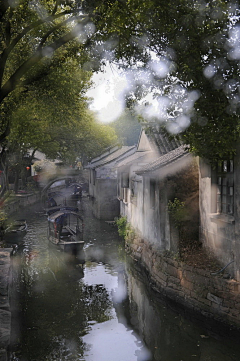 雨中玫瑰采集到美食