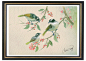 4复古 花鸟 田园 美式 手绘 水彩