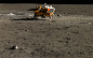 Moons-surface-shot-by-the-Chinese-lunar-landers-2.jpg (2560×1600)作为嫦娥3号任务的一部分 ，中国于2013年向月球释放了自身首个无人月球车“玉兔”号，成为继美国俄罗斯之后第三个登陆月球表面的国家。2016年2月1日，中国国家天文台对外发布了嫦娥3号着陆器月面拍摄全部图像数据。显示了月球表面的真实景色以及壮观的细节。在一些图片中“玉兔”行驶过后留下的车辙痕迹清晰可见。报道称，这些照片是迄今为止最精细的月球表面照片之一。