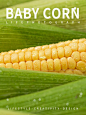 小玉米摄影|静物果蔬农产品拍摄布光分享