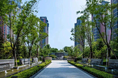 李贤珠lz采集到轴线景观