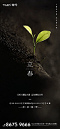 地产立春节气海报