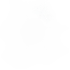 光png