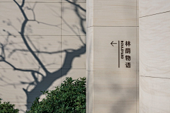 yyyyyyyun采集到03