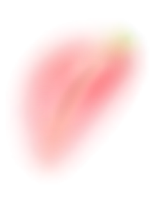 z_Zheng采集到花