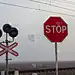 近距离停车路标在雾中