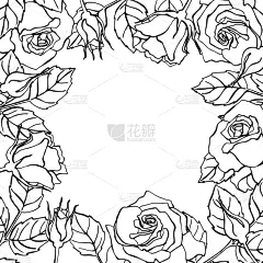 矢量,边框,玫瑰,正方形,线条,贺卡,绘画插图,古典式,生日