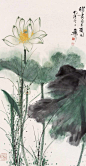 “ 出淤泥而不染 … ”丨谢稚柳 绘 ​ ​​​​