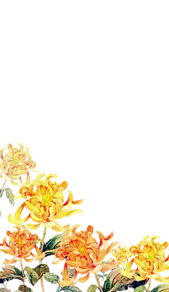 菊花