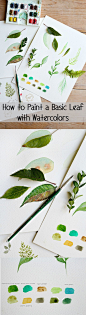 Such a beautiful and simple tutorial! Learn how to paint a basic leaf using water colors.: 