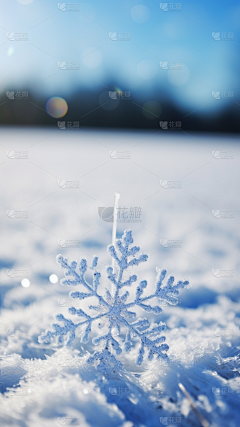 PYF素材库采集到滑雪