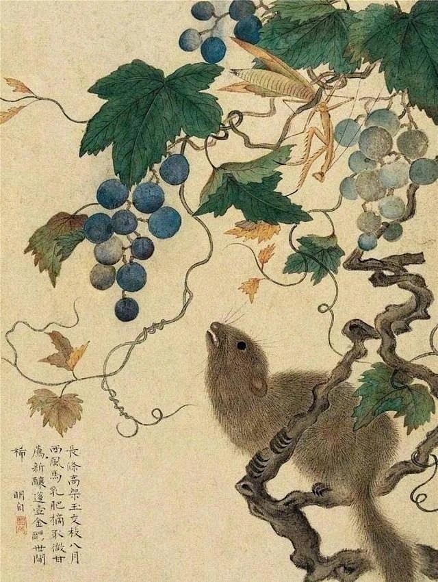 明代·陈明自的花果册 陈明自，明代画家，...