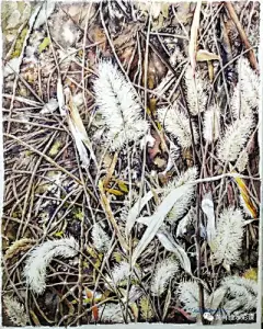 水彩---叶子 - 高清图片，堆糖，美图壁纸兴趣社区