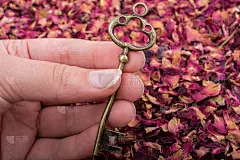 重点背景干玫瑰花瓣