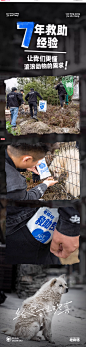 老疯杨救助粮 猫粮狗粮随身小包便携装 看到流浪猫狗请给它喂一点-tmall.com天猫