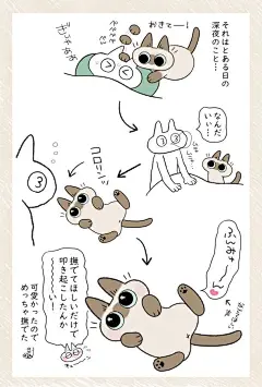其中包括图片：【漫画】動物病院で怖がる猫に「大丈夫だよ」はNG？ 理由に「なるほど」「声かけ大事」 | マグミクス