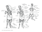 国际插画大师惠特拉奇的动物画教程：艺用生物解剖 专题 | leewiART 乐艺 建立你的个人艺术画廊，汇聚优秀的CG艺术作品