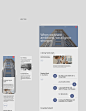 Bank Redesign corporate Danske Bank web concept uprock Web Design  UI ux