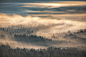 Landscape fog summer trees forest scenic FINEART nordic finland