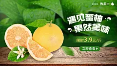 实景秋系列生鲜水果海报banner