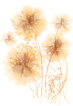 觅忆1采集到插画花