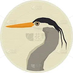 野生动物,动物,大蓝苍鹭,森林,可爱的,几何形状,肖像,小的,鸟类,品牌名称