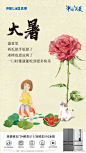 大暑 (22)