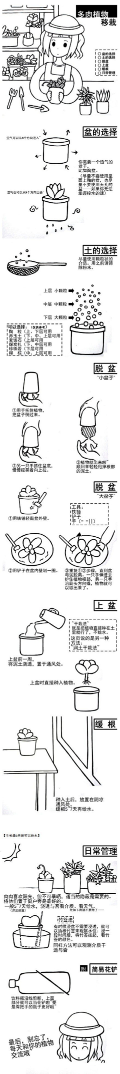 VirgooY采集到家居装饰——绿意盎然