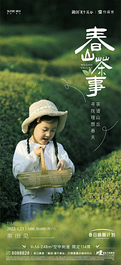 东枚采集到2