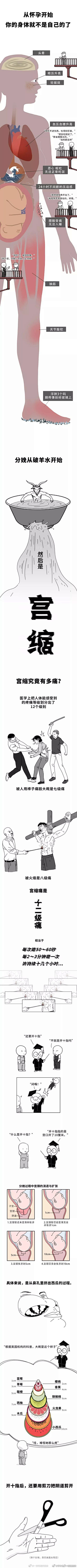 番叽嘟采集到无