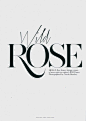 Wild Rose  Published in Typography inspiration | #1145: