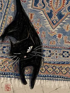 猫·艺术家· Maya Fidawi·插画 - 小红书