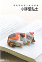 Yuki'cat的相册-胖猫黏土