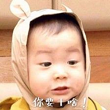 Cyan青木采集到表情包