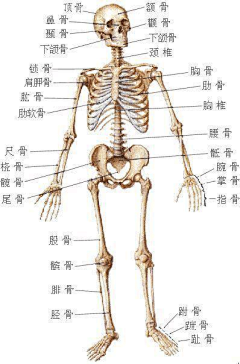 訫*＆默采集到知识点