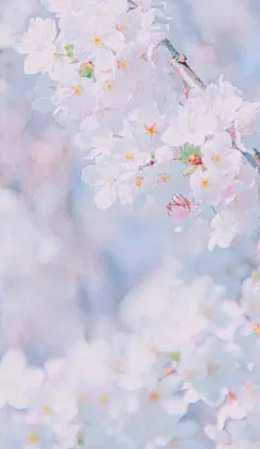 小清新 - 堆糖，美图壁纸兴趣社区