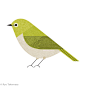 @takemasaryo Japanese White-eye 2017Art Print httpssociety6
