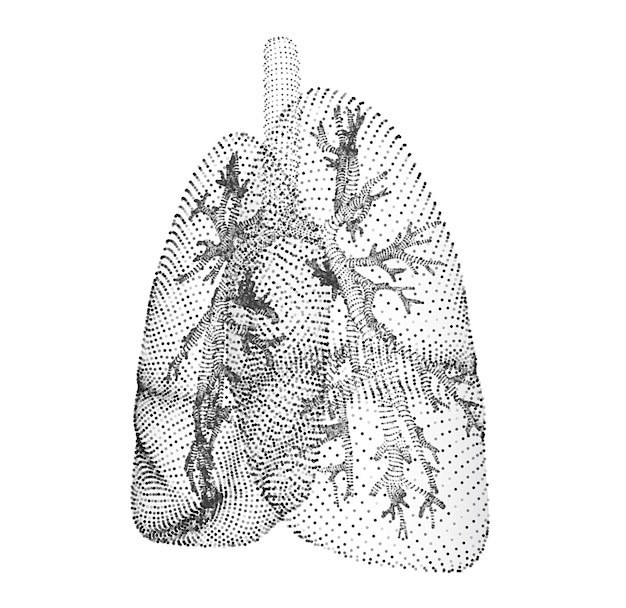 医疗科技肺部结构矢量图设计素材