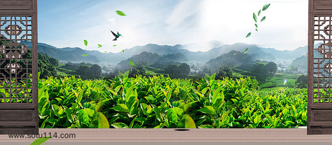 绿色清新茶叶山水展台海报banner背景