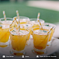 Summer cocktails @pippinhillfarm Photo by @elisabricker -- Planned by #soiree