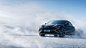 BYD 海豹冠军版 on Behance