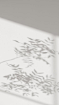 Anna Nekrashevich · 摄影 _光影_T2021827 #率叶插件，让花瓣网更好用_http://ly.jiuxihuan.net/?yqr=15538660#