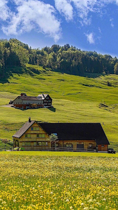 陈末是今晚的康桥采集到沿途的风景