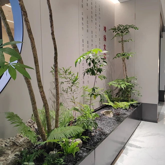 今日份绿植造景|枯式造景|速成式造景 - 小红书-花瓣网