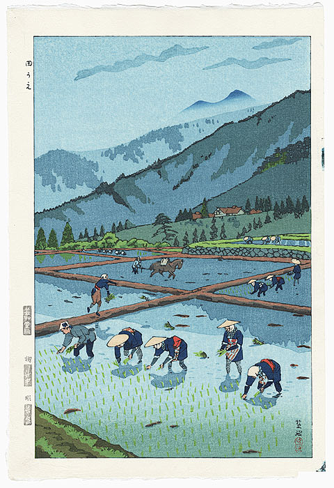 Rice Planting, 1953 ...