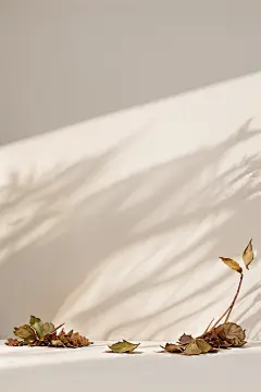 好看的背景 (222)