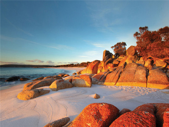 TOP9  Bay of Fires 澳...