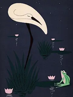 插画来自乌克兰艺术家Vladimir Bobri ，书中讲述了动物们不同的睡觉方式！ ​​​​