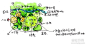 景观概念性方案步骤图解 如何做景观设计 - 景观手绘 - 绘世界网